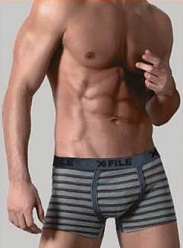 X-FILE XF-Boxer RIGA /трусы муж/ blu 2-S