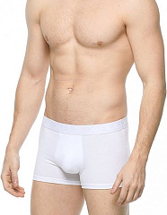 X-FILE XF-Boxer EMILIO /трусы муж/ bianco 2-S