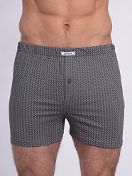 X-FILE XF-Boxer BERNARDO /трусы муж/ blu 2-S