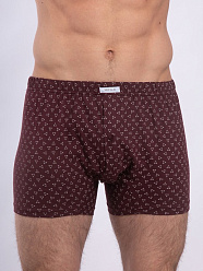 X-FILE XF-Boxer EUGENIO /трусы муж/ blu 2-S