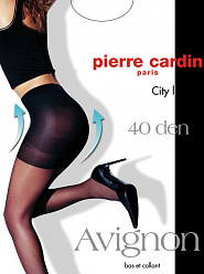 PC Avignon 40 antilope 2