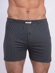 X-FILE XF-Boxer STEFANO /трусы муж/ grigio 4-L